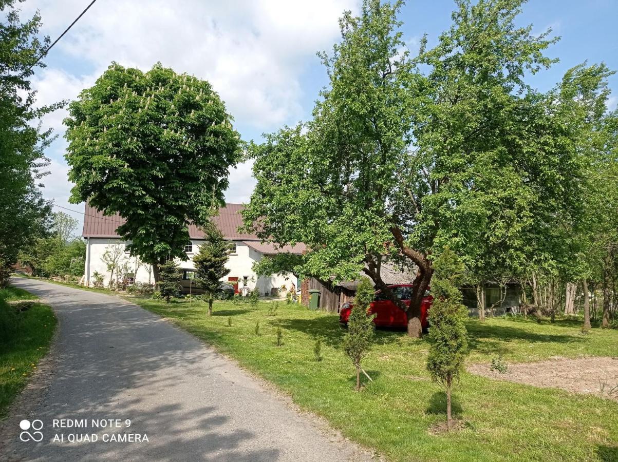 Roze I Jablonie Agroturystyka Gryfow Slaski Exterior photo