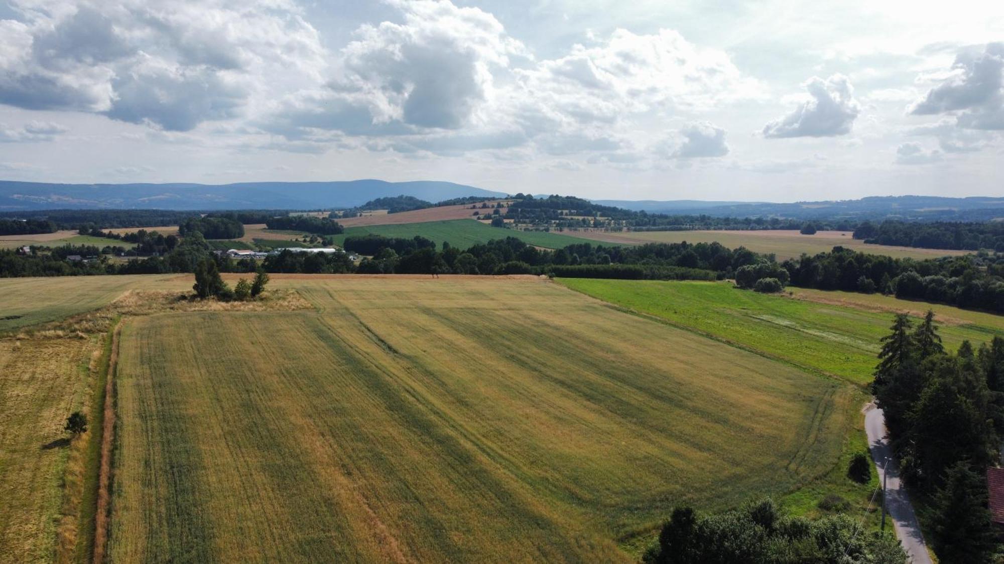 Roze I Jablonie Agroturystyka Gryfow Slaski Exterior photo