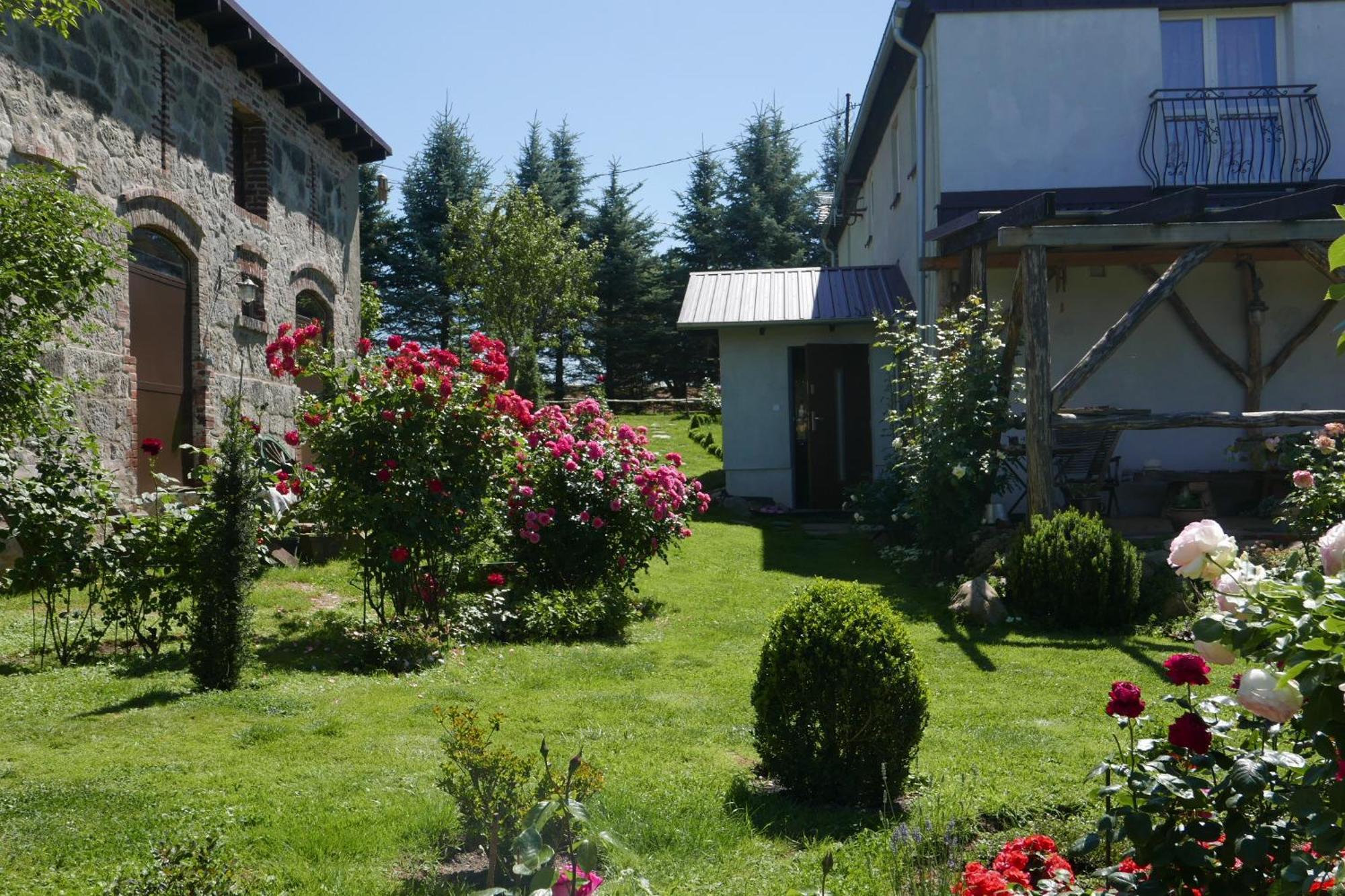 Roze I Jablonie Agroturystyka Gryfow Slaski Exterior photo