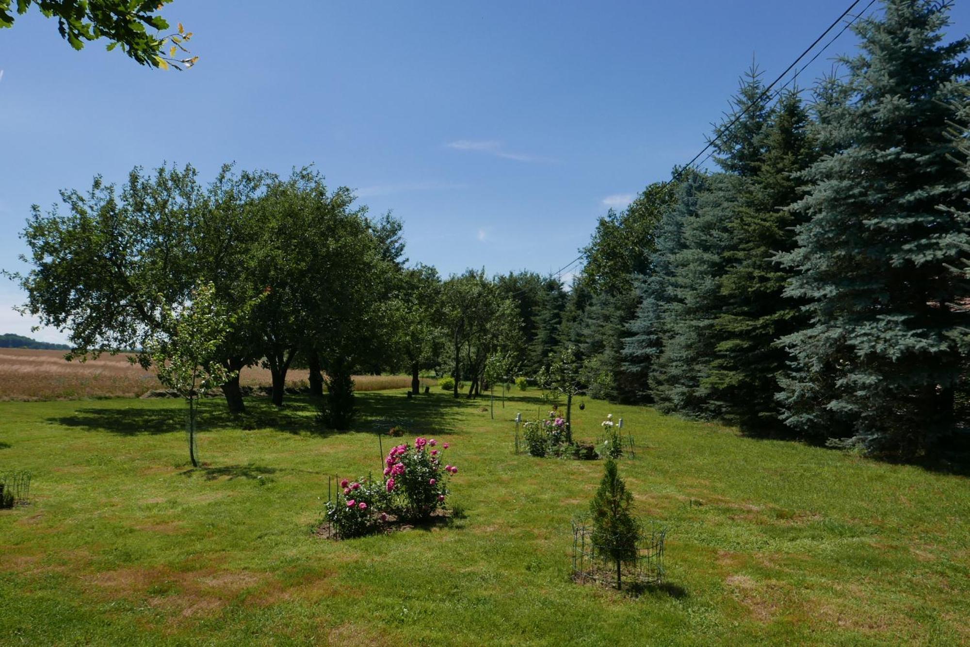 Roze I Jablonie Agroturystyka Gryfow Slaski Exterior photo